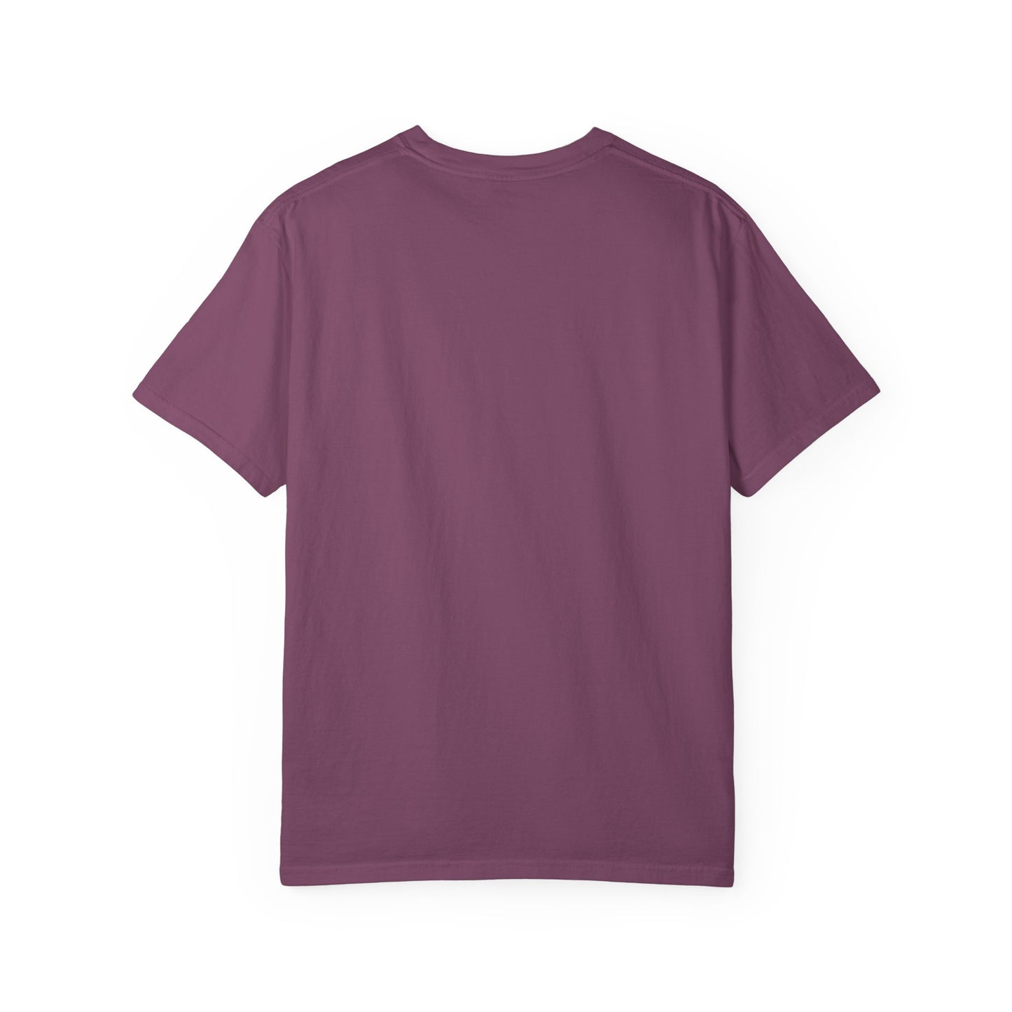 Motivational Quote T-Shirt — “The distance between where you are and where you want to be is often disguised as discipline.”